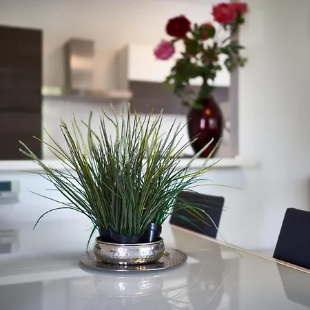 Your Familyapartment In Apartamento